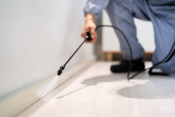 Licensed Fumigation Services service in Stevensville, MD - Nex Pest Control