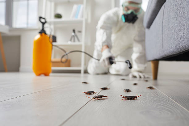 Trusted Termite Control service in Stevensville, MD - Nex Pest Control