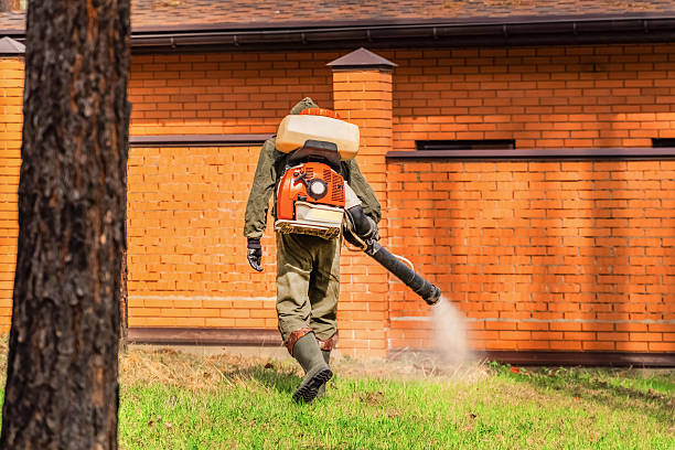 Trusted Cockroach Control service in Stevensville, MD - Nex Pest Control
